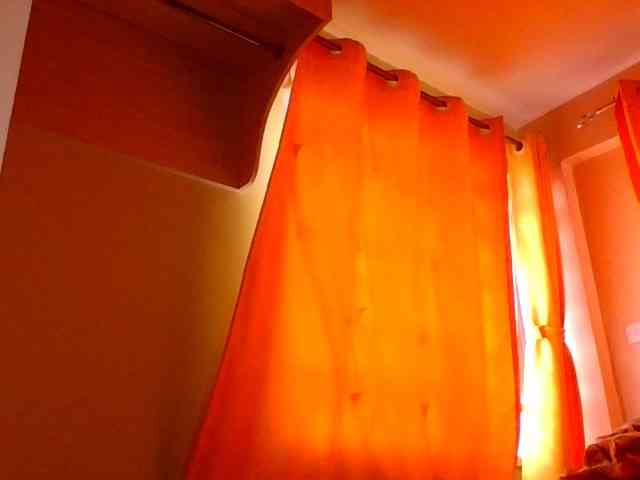 sauccyspoilage webcam