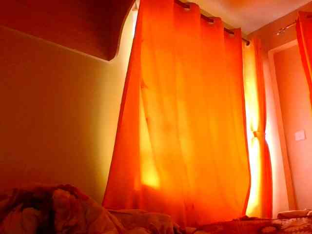 sauccyspoilage webcam