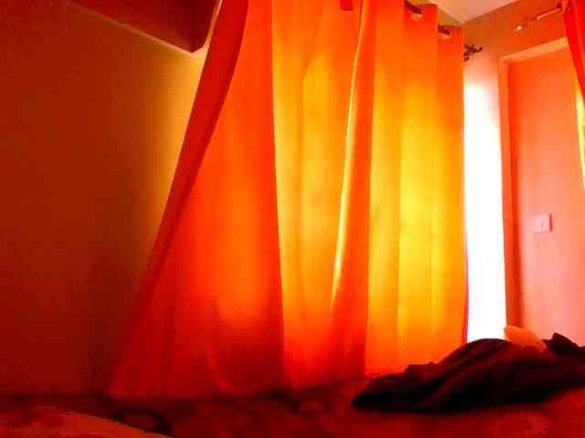 sauccyspoilage webcam