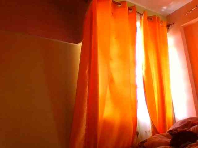 sauccyspoilage webcam