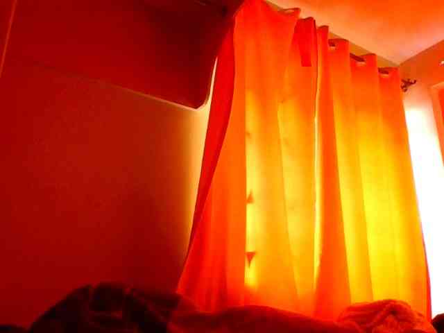 sauccyspoilage webcam