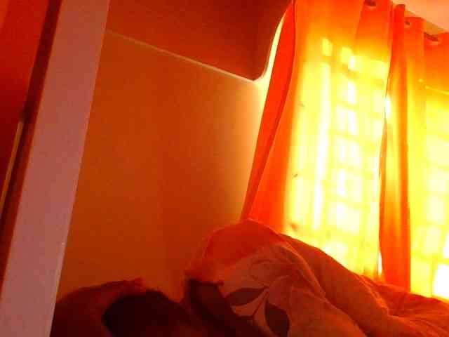 sauccyspoilage webcam