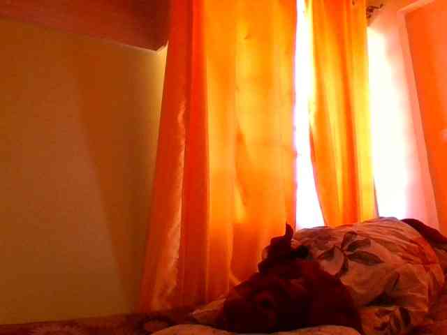 sauccyspoilage webcam
