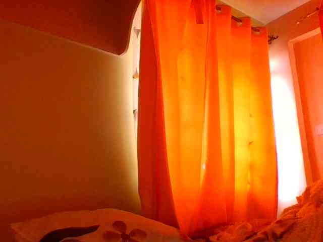 sauccyspoilage webcam