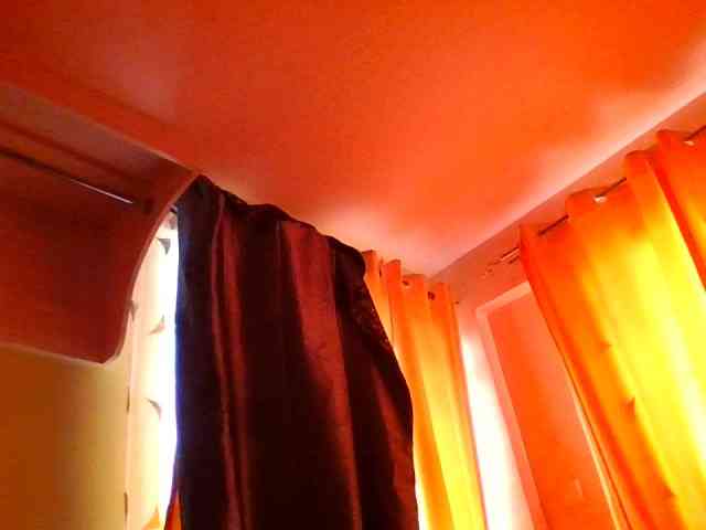 sauccyspoilage webcam