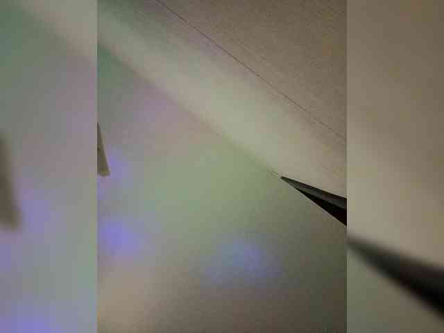 Alinaiadem2025 webcam