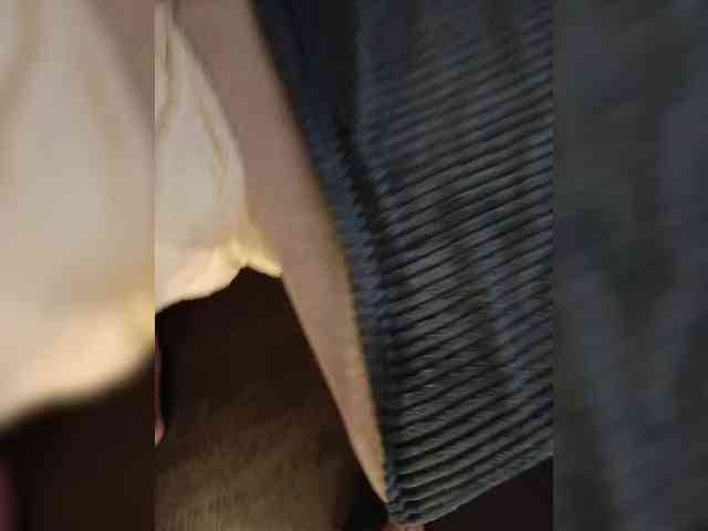 Alinaiadem2025 webcam