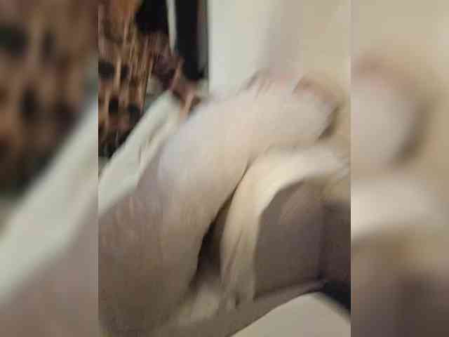 Alinaiadem2025 webcam