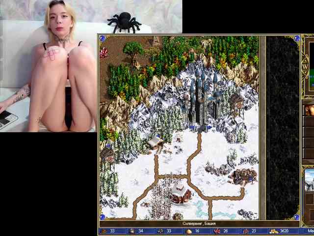 InessaFly webcam