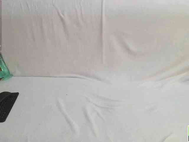 InessaFly webcam