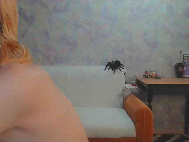 InessaFly webcam