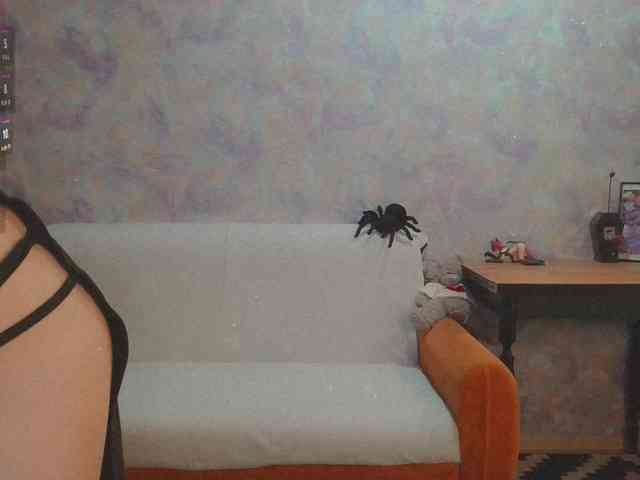 InessaFly webcam