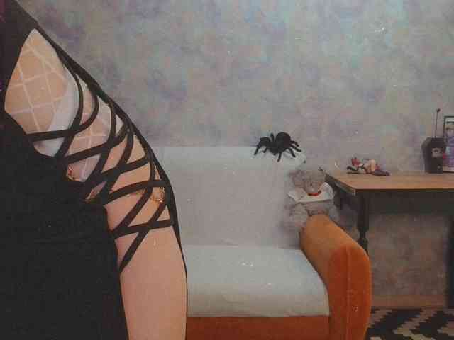 InessaFly webcam