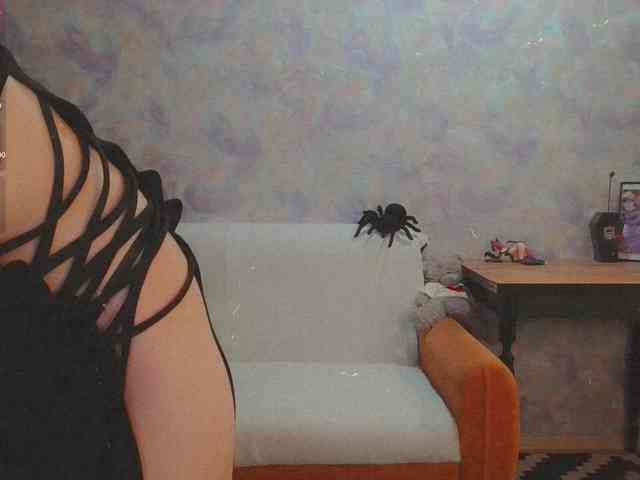 InessaFly webcam