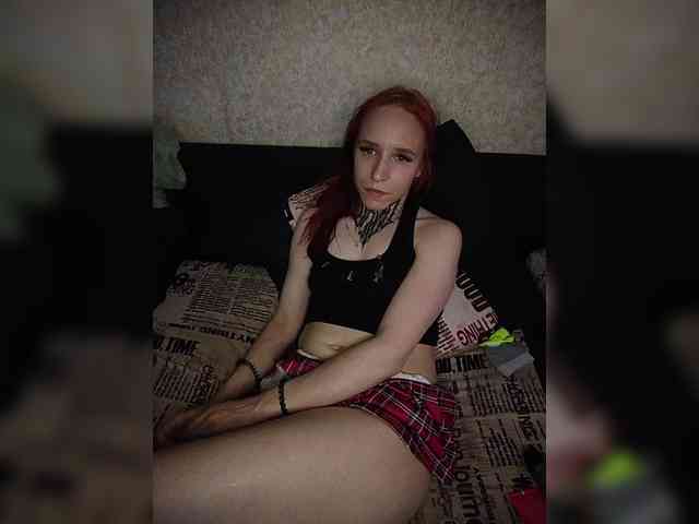 TPAX-HA-TPAX webcam
