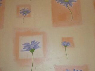 MILKIWAYSEX23 Porn Show