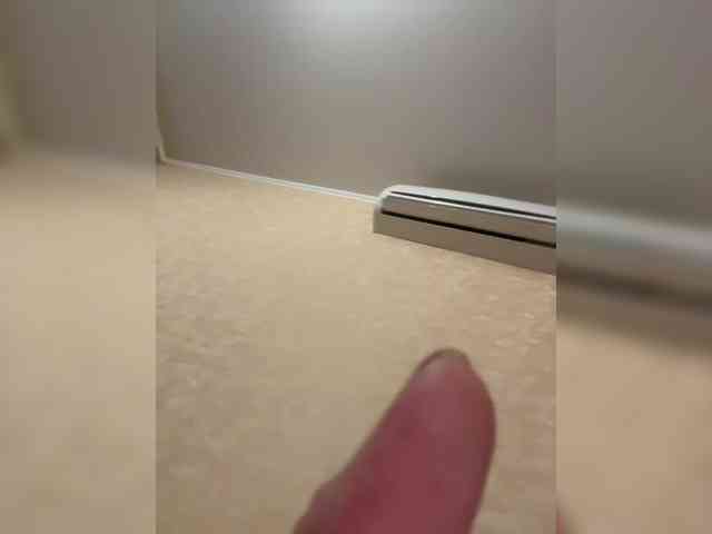 Simbiot91 webcam