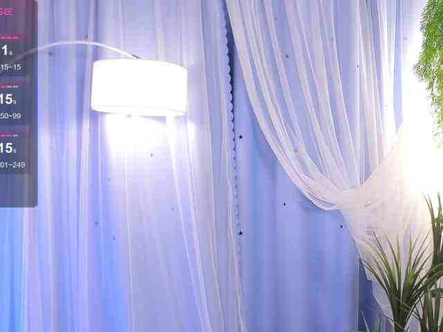 EvaForEva webcam