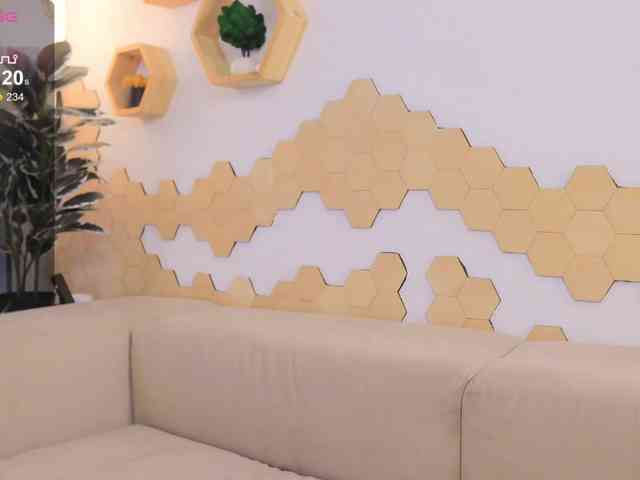 EvaForEva webcam