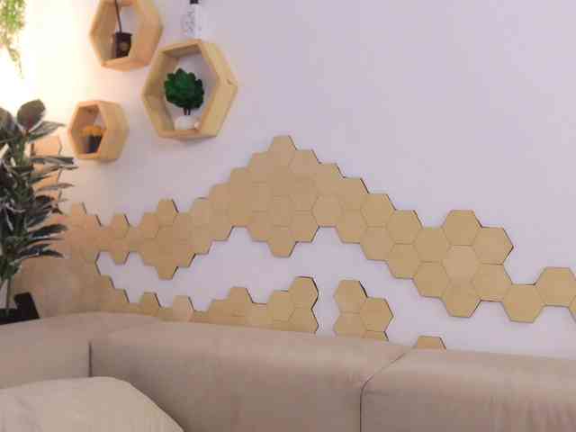 EvaForEva webcam