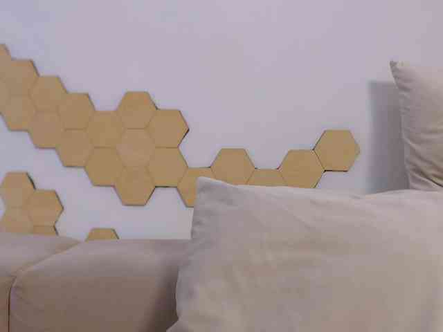 EvaForEva webcam