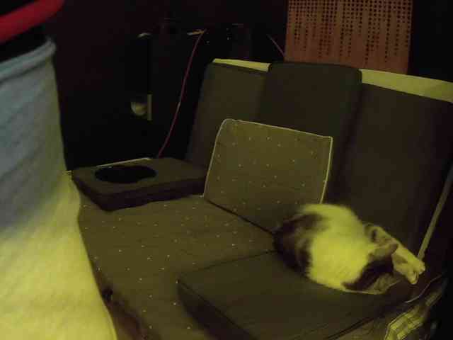 Hotswissboy11 Hotswissboy11