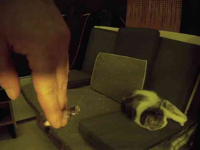 Hotswissboy11 Hotswissboy11