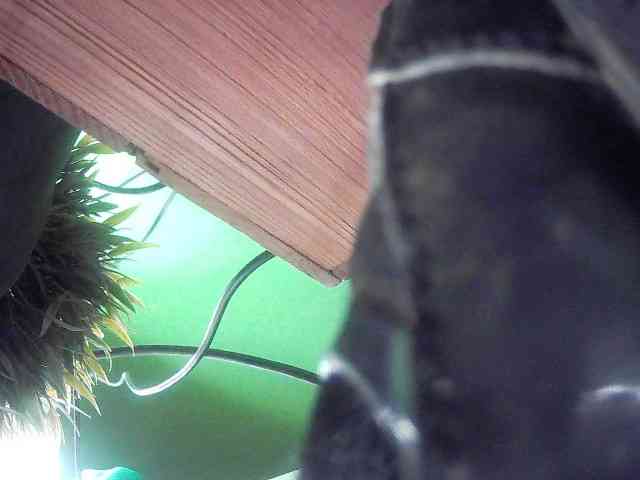 Hotswissboy11 Hotswissboy11