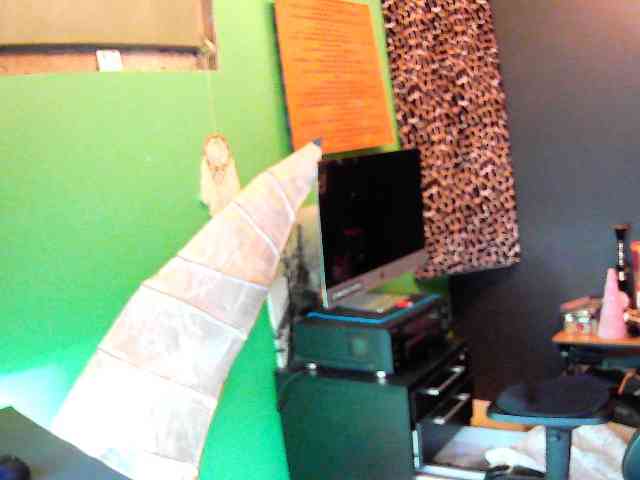 Hotswissboy11 Hotswissboy11