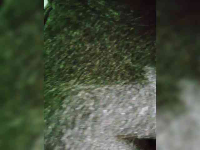 dirtylittleprincess59 webcam