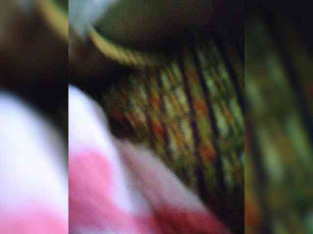 dirtylittleprincess59 webcam