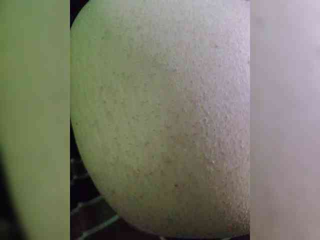 dirtylittleprincess59 webcam