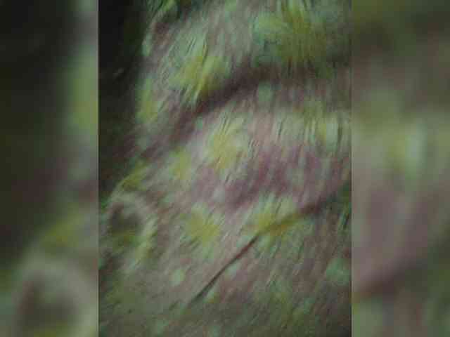 dirtylittleprincess59 webcam