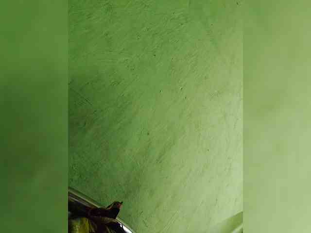 dirtylittleprincess59 webcam