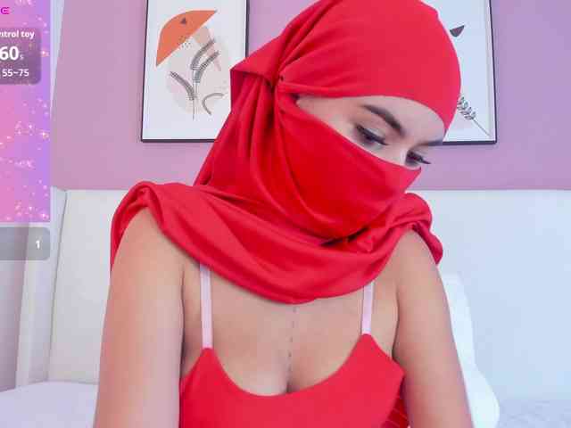 Saandy webcam