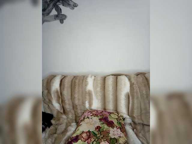 ninimimi5555's BongaCams show and profile