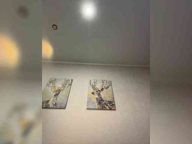 Mari_Kari webcam