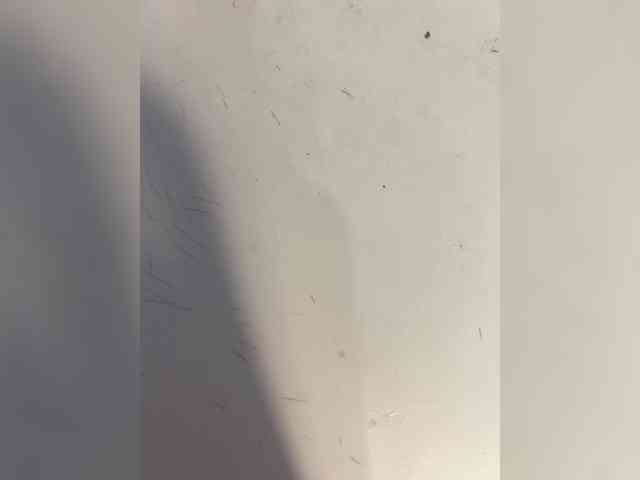 Mari_Kari webcam