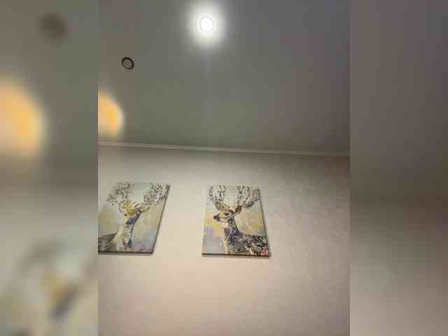 Mari_Kari webcam