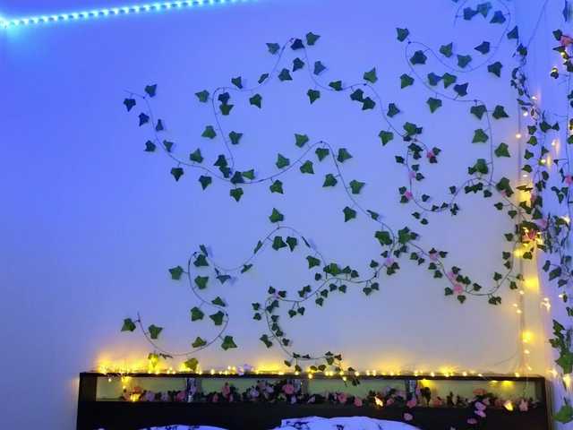 Candy-Floss's BongaCams show and profile