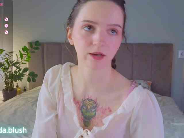 linpie webcam