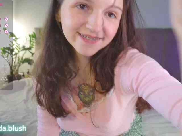 linpie webcam