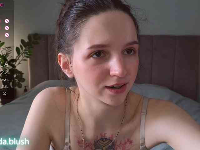 linpie webcam