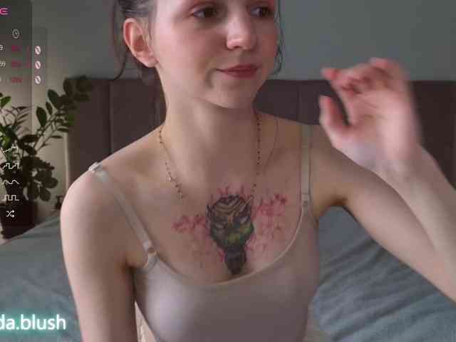linpie webcam