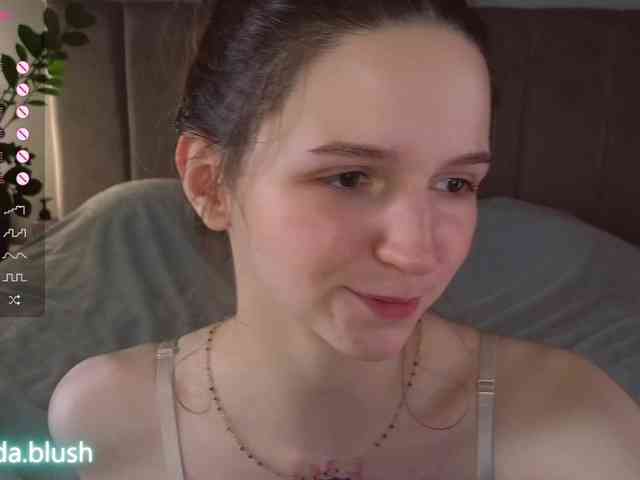 linpie webcam