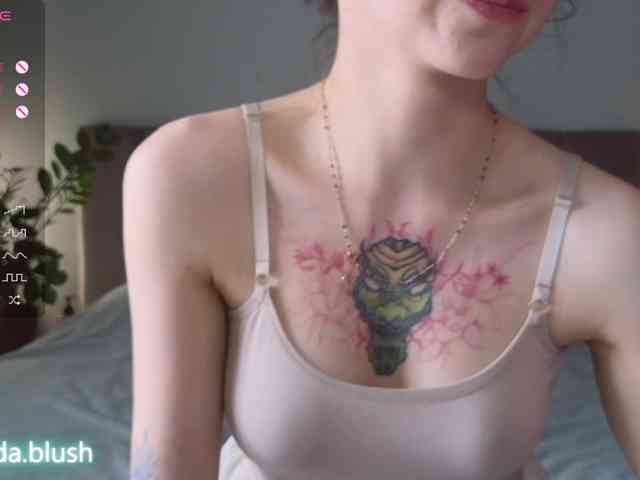 linpie webcam
