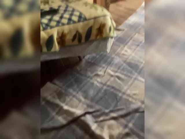Chemezoff webcam