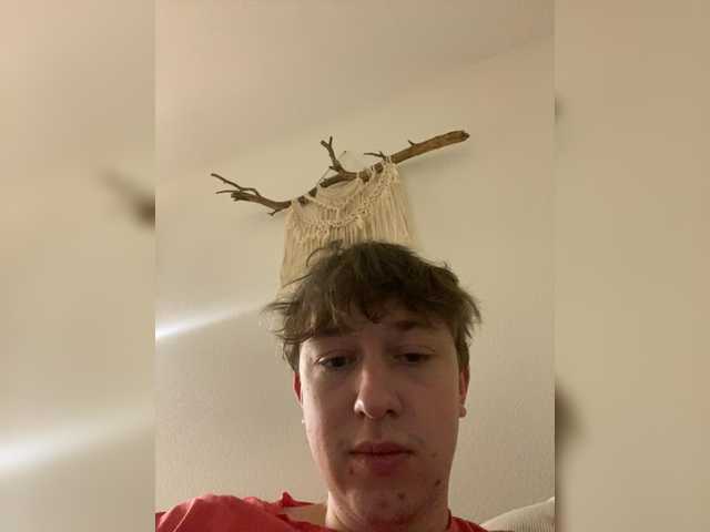 lina_wap