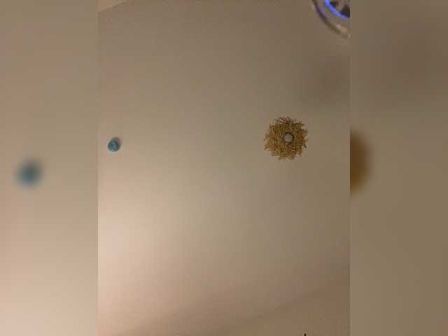 LinaTwins from BongaCams is Freechat