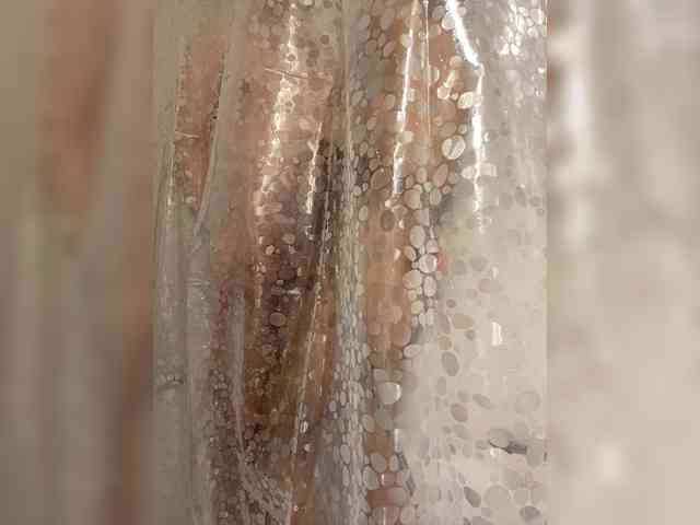 lina_wap webcam